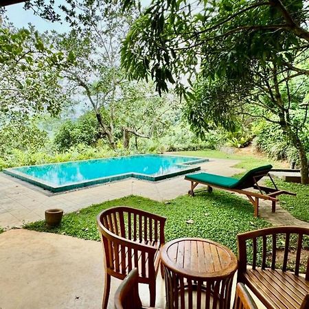 Aqua Dunhinda Villa Kandy Zewnętrze zdjęcie